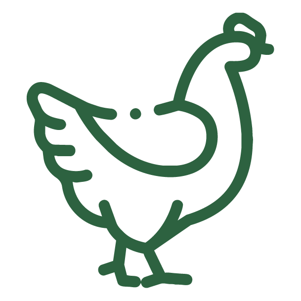Gallinas libres